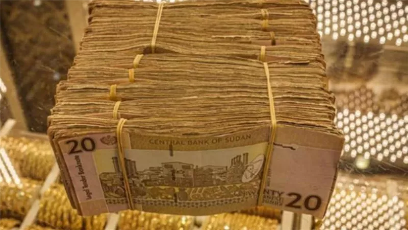 سعر الدولار الأمريكي في السوق السوداء بالسودان اليوم السبت 13 -2 -2021 
