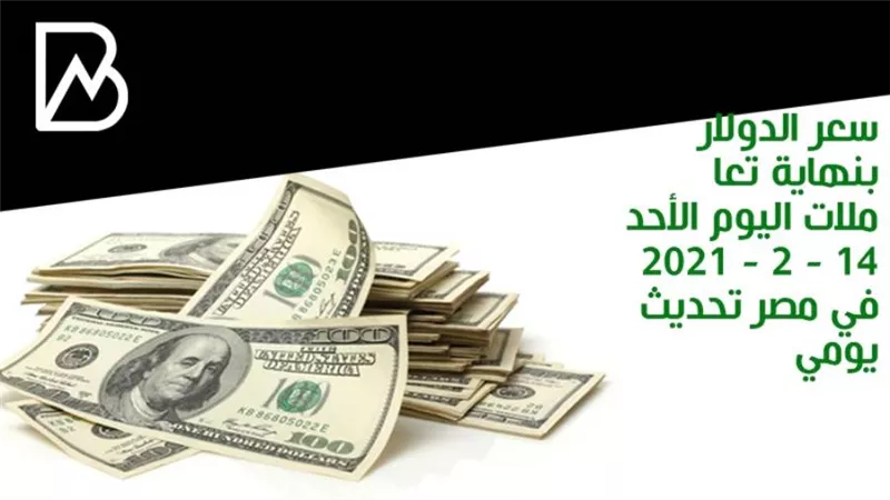 سعر الدولار بنهاية تعاملات اليوم الأحد 14 - 2 - 2021 في مصر تحديث يومي