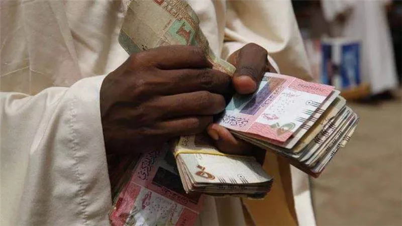  مصادر مصرفية لرويترز: المركزي السودانى حدد سعر الدولار عند 375 جنيه