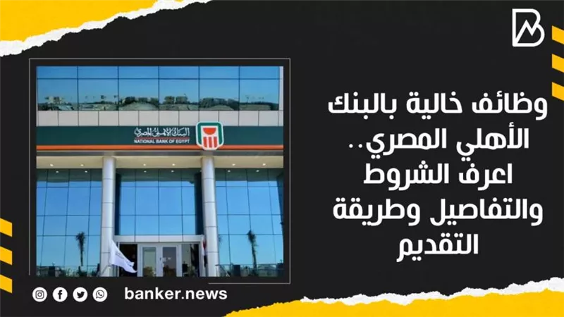 وظائف خالية بالبنك الأهلي المصري.. اعرف الشروط والتفاصيل وطريقة التقديم