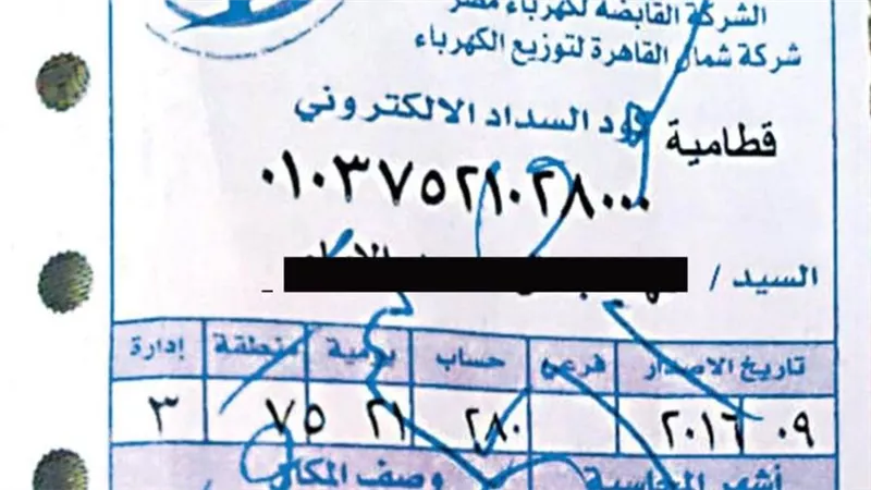 الآن.. لينك الاستعلام عن فاتورة الكهرباء مصر الوسطى 2021.. اعرف فاتورتك بسهولة