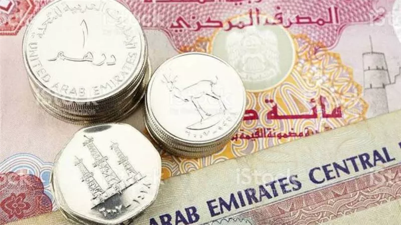 سعر صرف الدرهم الإماراتي مقابل الجنيه المصري اليوم الإثنين 19-4-2021