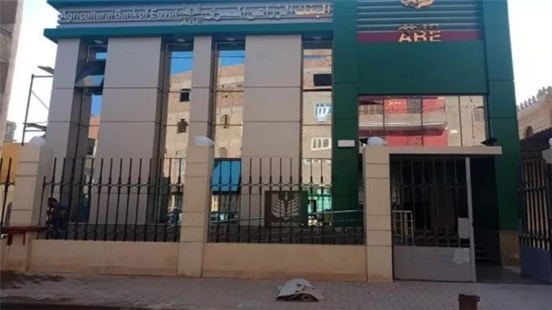 كم عدد فروع بنك التنمية والائتمان الزراعى فى مصر 2021.. إليك التفاصيل