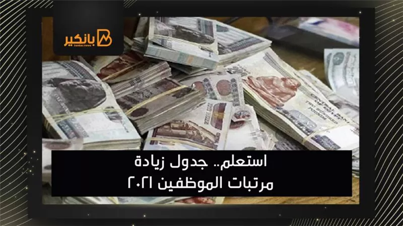 استعلم.. جدول زيادة مرتبات الموظفين 2021