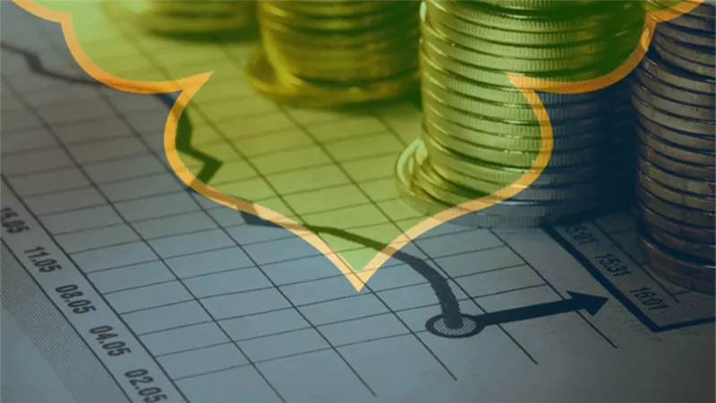 تقرير: 14.3% نسبة النمو بالصيرفة الإسلامية في مصر