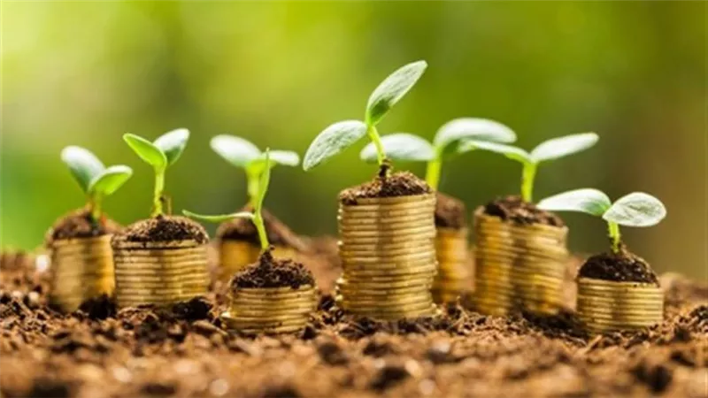 التمويل الأخضر.. فرصة مثالية للقطاع المصرفي المصري لتوليد فوائد اقتصادية مستدامة طويلة الأجل
