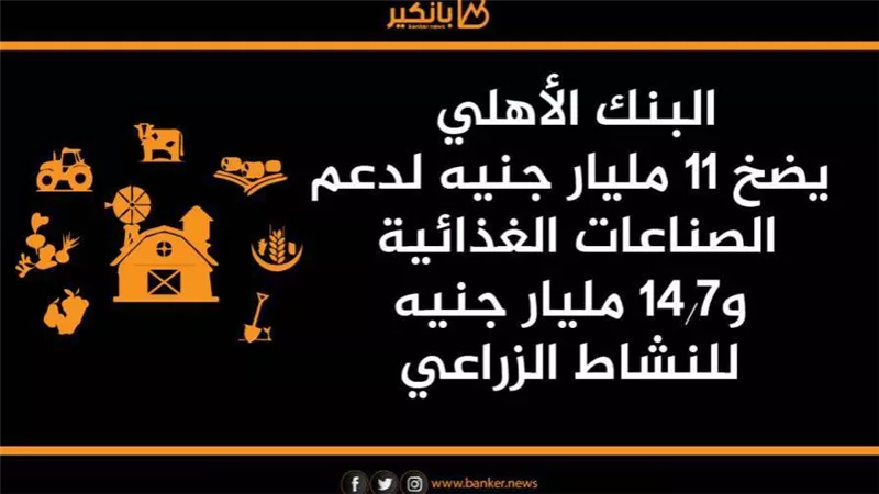 انفوجرافيك | البنك الأهلي يضخ 11 مليار جنيه لدعم الصناعات الغذائية و  14.7 مليار جنيه للنشاط الزراعي