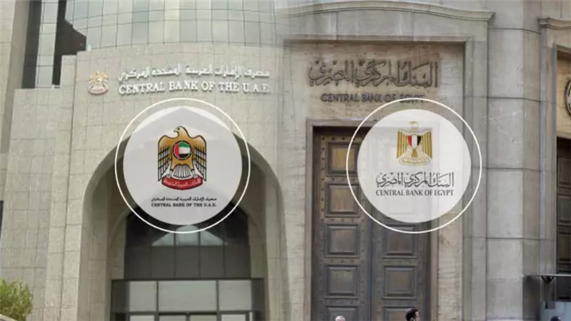 8 معلومات عن التعاون بين البنك المركزي المصري ومصرف الإمارات المركزي للرقابة المصرفية