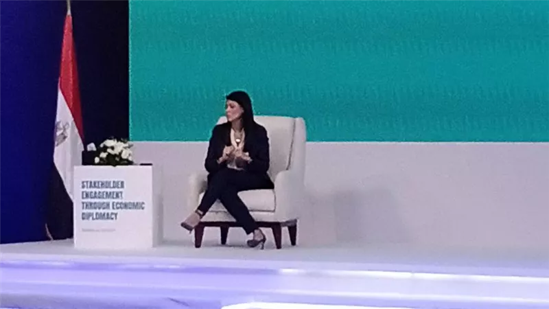 المشاط : 3.2 مليار دولار تمويلات القطاع الخاص  من شركاء التنمية في 2020