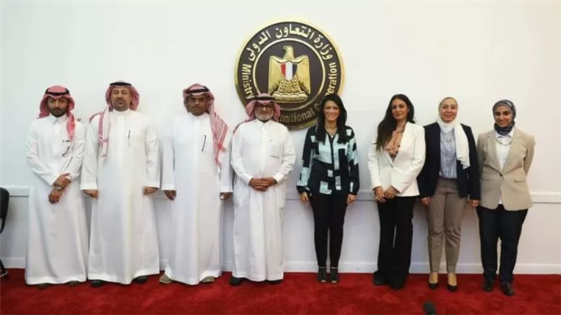 بقيمة 270 مليون جنيه.. 3 بنوك استفادت من منحة السعودية لتمويل المشروعات الصغيرة والمستشفيات