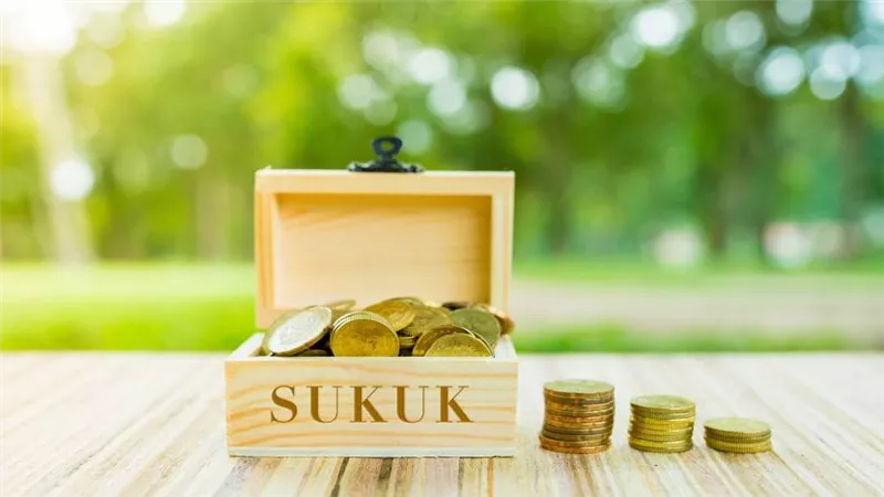 ستاندرد آند بورز: عودة سوق الصكوك العالمية إلى المخاطر التقليدية