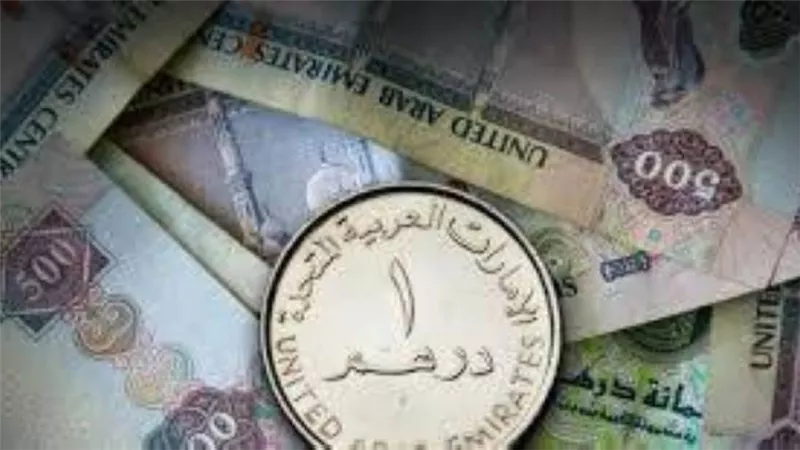 سعر الدرهم الإماراتي أمام الجنيه المصري اليوم الثلاثاء 6 -7-2021