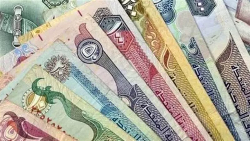 سعر الدرهم الإماراتي أمام الجنيه المصري اليوم السبت 17 / 7 /2021