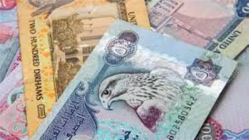 سعر الدرهم الإماراتي أمام الجنيه المصري اليوم الأحد 18 / 7 /2021