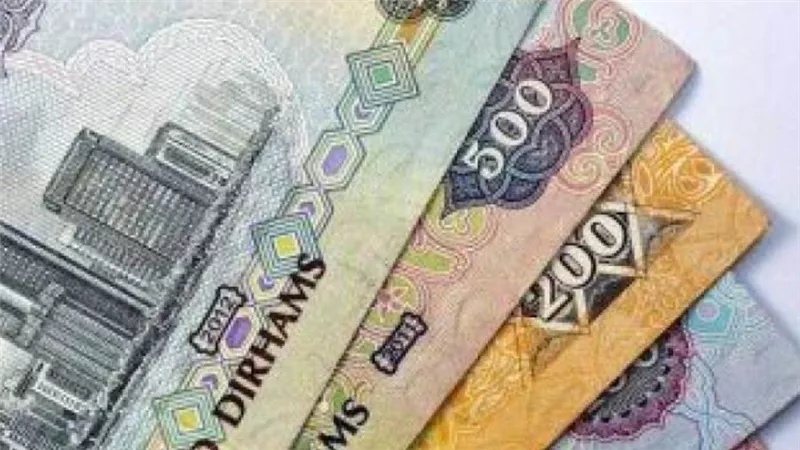سعر الدرهم الإماراتي أمام الجنيه المصري اليوم الثلاثاء 10 / 8 /2021