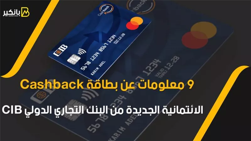 فيديو| 