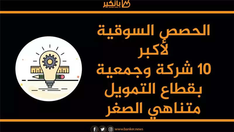 انفوجرافيك | الحصص السوقية لأكبر 10 شركة وجمعية بقطاع التمويل متناهي الصغر