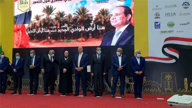 وزيرة الصناعة: مصر الأولى عالميا فى إنتاج التمور.. وجاري الإعداد للمهرجان الخامس بأسوان