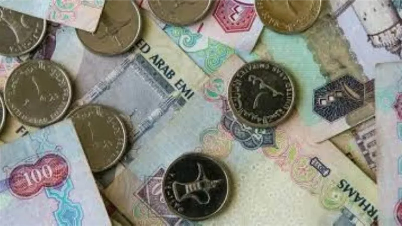 اسعار صرف الدرهم الإماراتي مقابل الجنيه المصري اليوم السبت 23-10-2021