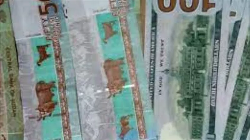 سعر الدولار مقابل الجنيه السوداني في البنك المركزي والسوق السوداء اليوم الخميس 28-10 /2021