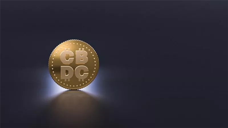 مسئولوا البنوك المركزية يؤكدون ضرورة عدم الإسراع في إصدار العملات الرقمية CBDC
