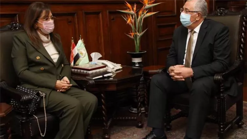 وزيرا الزراعة والتخطيط يبحثان التعاون مع صندوق مصر السيادي في رفع كفاءة الأصول