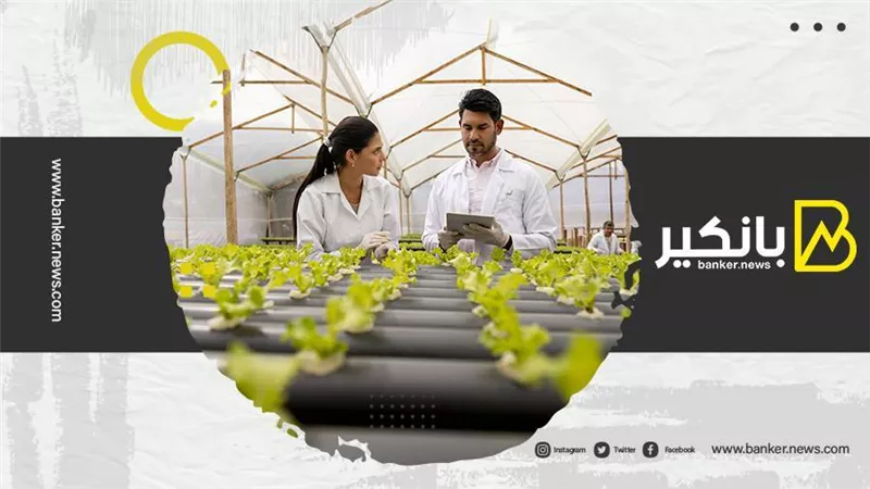 كيف أصبحت دولة الإمارات العربية المتحدة مركزًا ماليًا مستدامًا