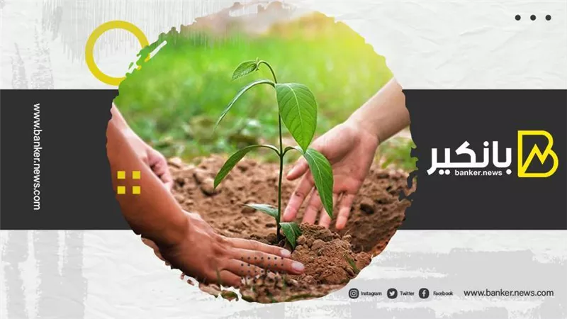 كيف يعيد التمويل الأخضر تشكيل الصناعة المصرفية؟