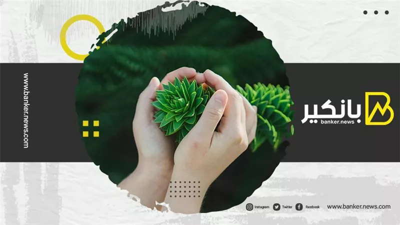 المصرفية المفتوحة.. لعبة تغيير من أجل الاستدامة