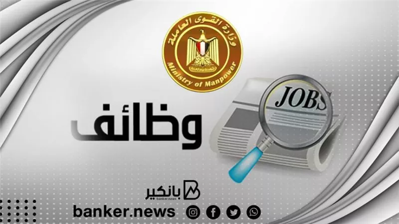 براتب 8 آلاف جنيه.. القوى العاملة تعلن عن وظائف جديدة.. قدم الآن