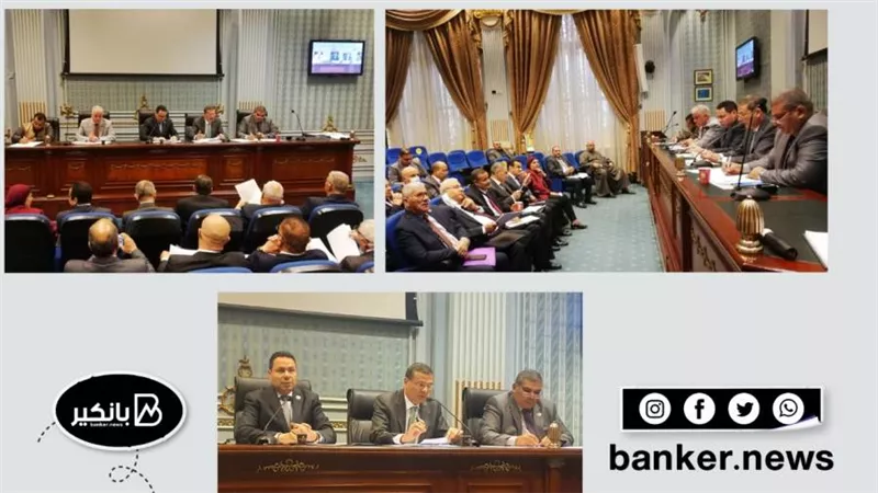  علاء فاروق :  البنك الزراعي المصري يعيد هيكلة قروض الثروة الحيوانية عالية الفائدة للعملاء المنتظمين في السداد