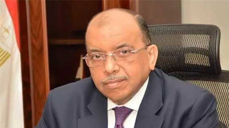 التنمية المحلية: توفير 20 ألف فرصة عمل من خلال تنفيذ 2000 مشروع صغير بالمحافظات