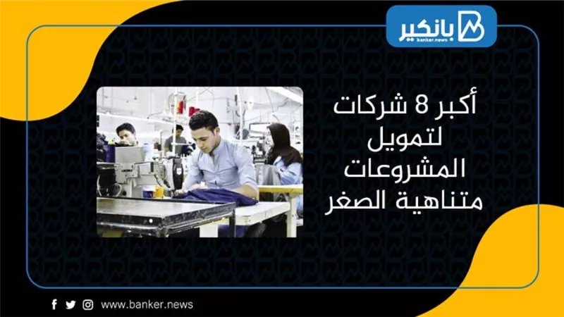 أكبر 8 شركات لتمويل المشروعات متناهية الصغر| انفوجرافيك