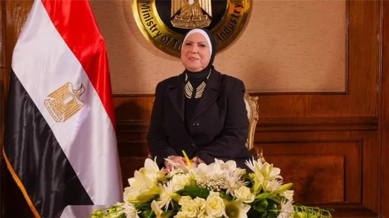 وزيرة التجارة تقرر استمرار رسم الصادر على بعض الخامات التعدينية لمدة عام