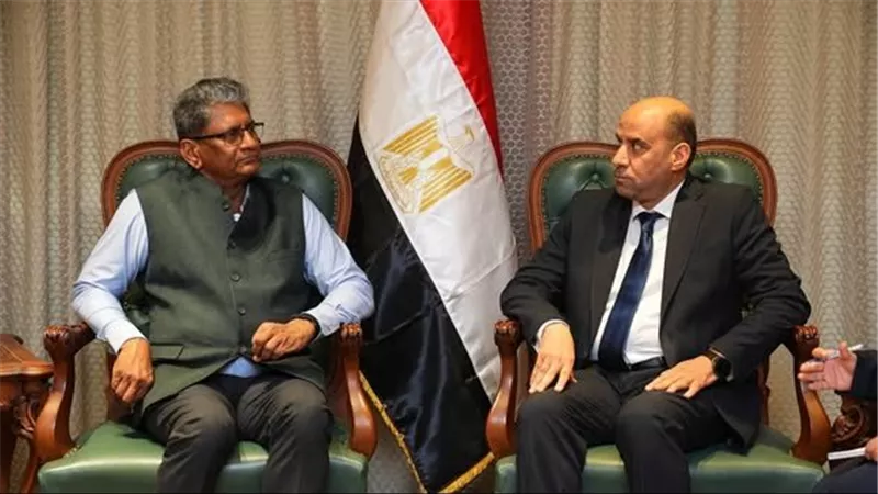 60 شركة هندية في مصر.. تحركات جديدة لتعزيز التعاون وتسهيل إجراءات العمل