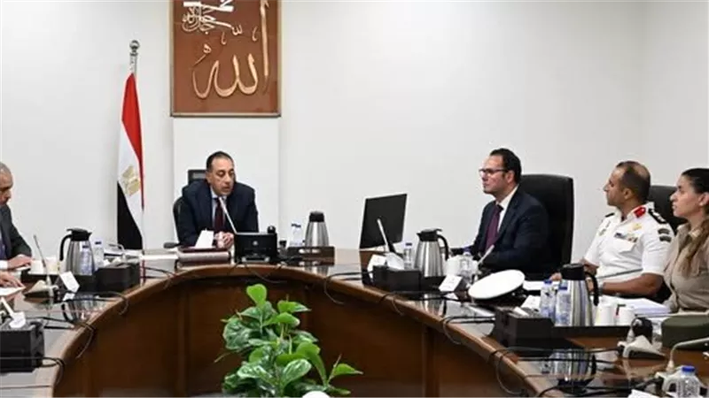 40 شلتر في المدن الجديدة.. خطة الدولة للحد من ظاهرة الكلاب الضالة