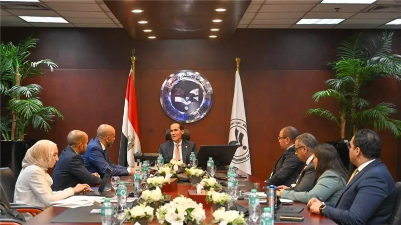 هيئة الاستثمار تبحث مع «موانئ دبي العالمية» خطط توسع جديدة في مصر