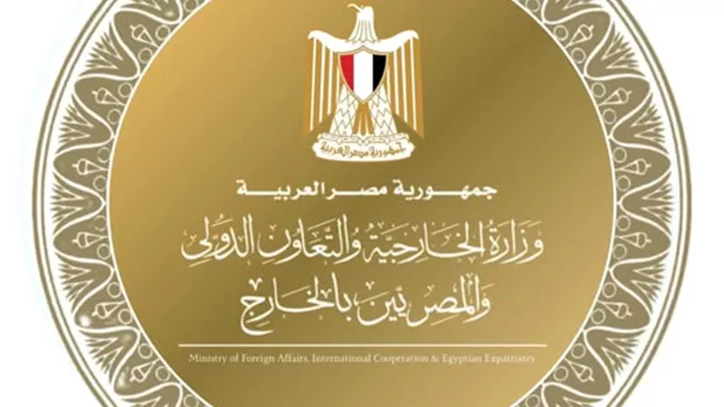 وزير الخارجية يبحث مع نظرائه في 4 دول عربية تطورات المنطقة وحادث ميناء دمياط