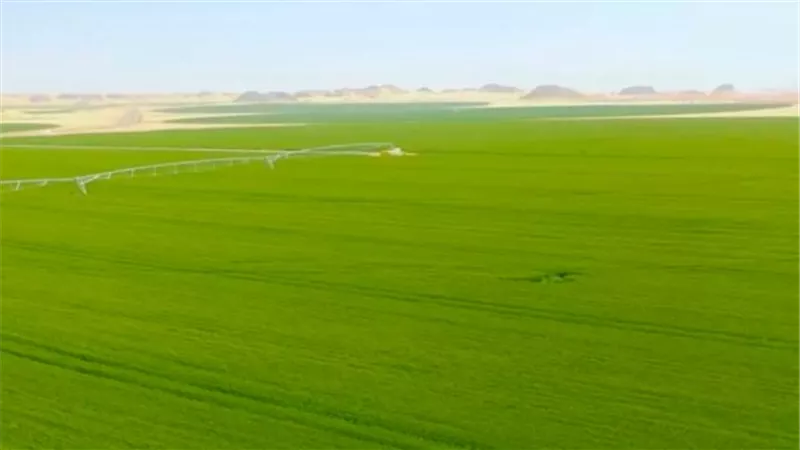 بريطانيا تخصص 65 مليون إسترليني لإنقاذ المزارعين من تداعيات الجفاف
