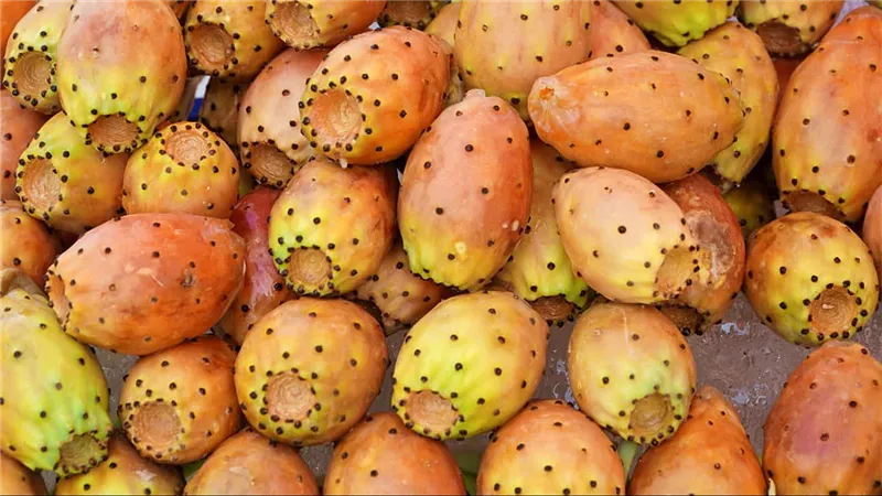 بعد سنتين تجارب.. مصر بتجهز لزراعة 