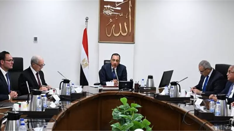 رئيس الوزراء يتابع خطة تطوير الغزل والنسيج.. تحركات لاستعادة مكانة القطن المصري عالميًا