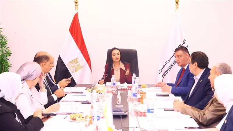 الهلال الأحمر المصري يكشف حصاد عام من الإغاثة.. أرقام ضخمة لدعم غزة