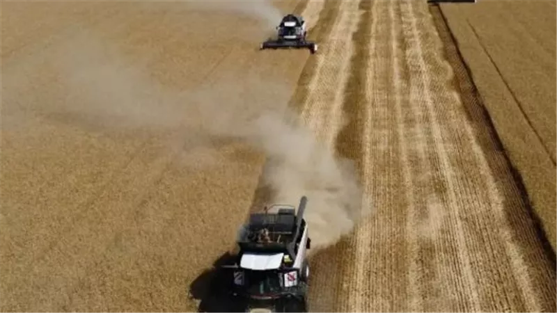 موسكو ترفض وقف الهجمات.. والقمح يقفز لأعلى مستوى منذ 2023