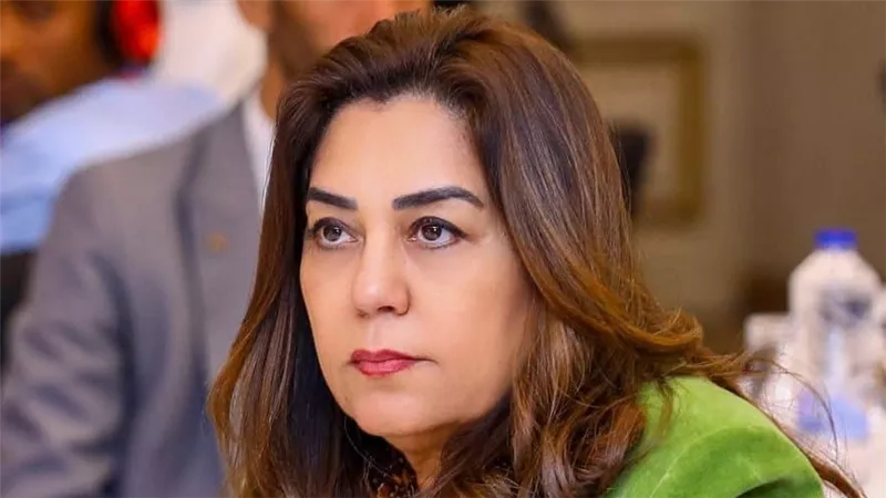 التنمية المحلية: إنهاء 833 معاملة متأخرة وإزالة مخالفات بناء ورفع 1000 طن مخلفات
