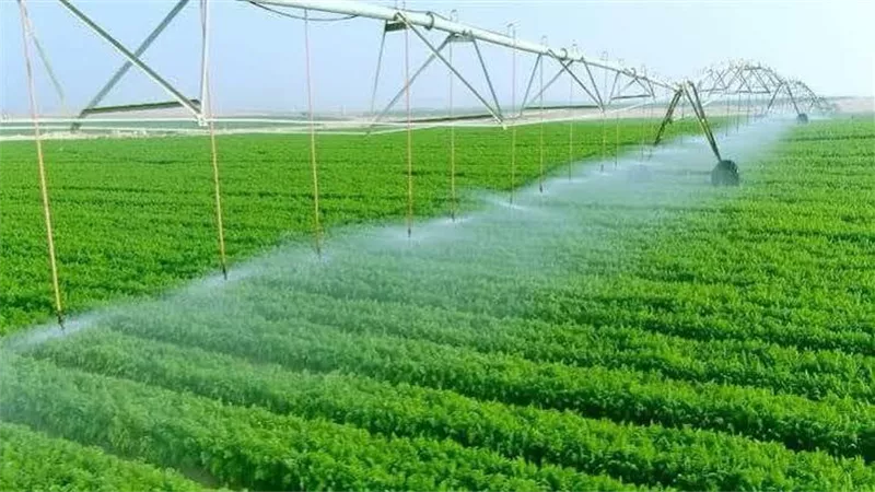 الزراعة تكشف حصاد 2025-2026.. 10.5 مليون فدان المساحة المنزرعة و9.5 مليون طن صادرات