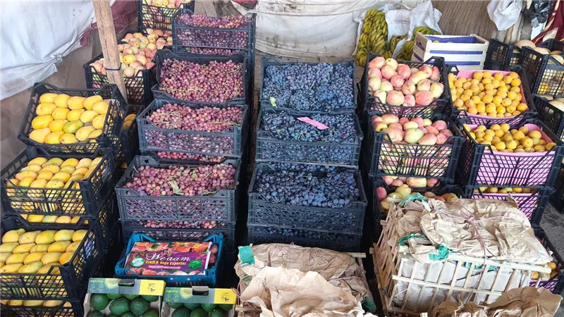أسعار الفاكهة اليوم.. العنب يسجل 40 جنيهًا والتفاح بـ100 في سوق العبور