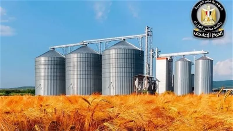 تخصيص 12.53 فدانًا بسوهاج لإنشاء صوامع غلال.. ما القصة؟ 