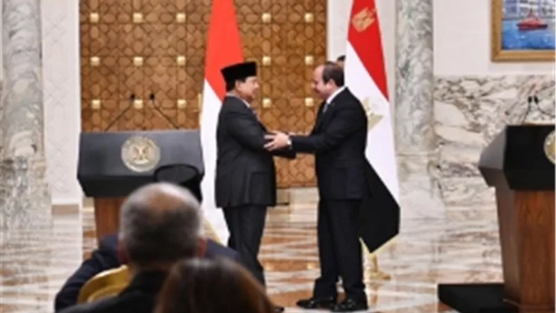 خبير: مصر تعزز حضورها داخل بريكس بثقلها السياسي والاقتصادي