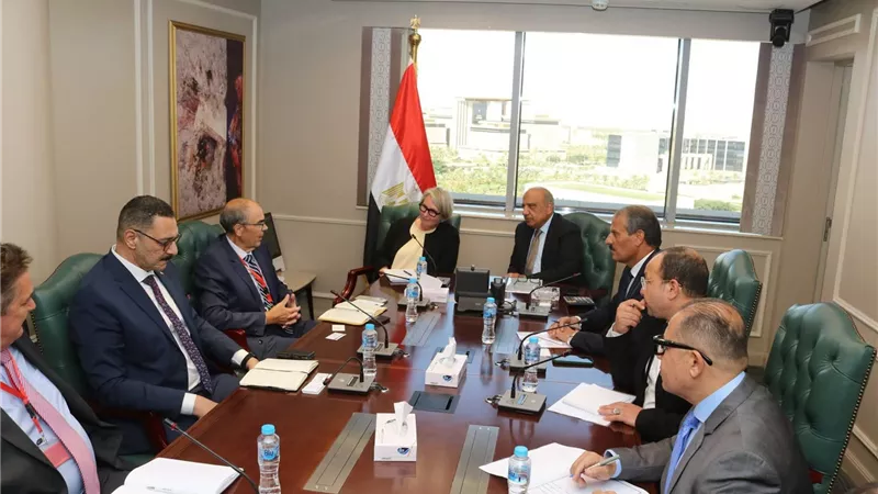 الذكاء الاصطناعي يدخل إدارة شبكة الكهرباء.. تعاون مصري فنلندي جديد