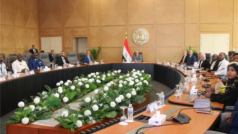 الكهرباء تخرج 16 متدربًا من جيبوتي ضمن برامج التعاون الأفريقي
